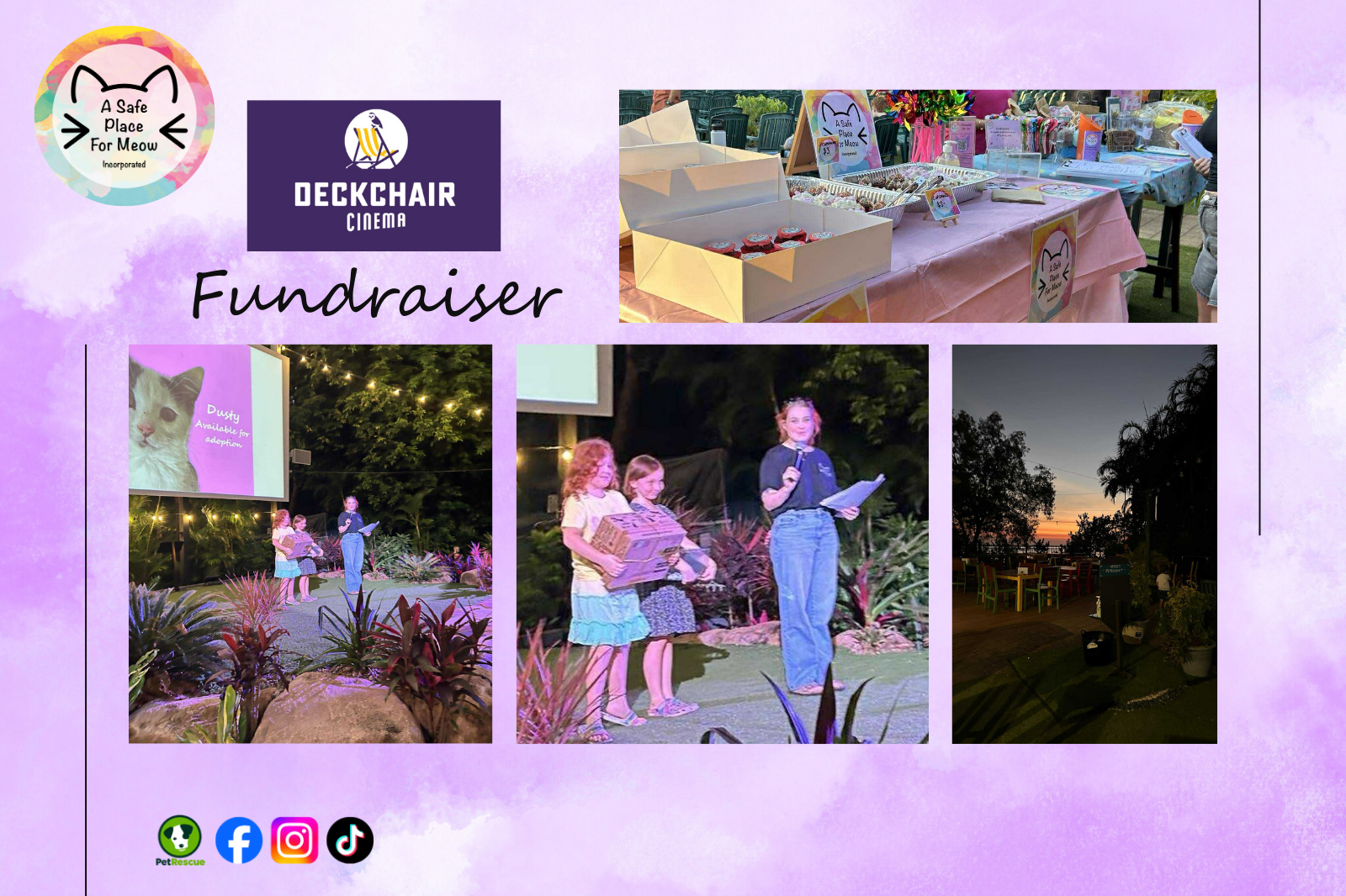 A Night Under the Stars at Deckchair Cinema 🌙🐾