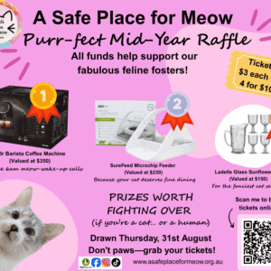 ASPFM Purr-Fect Mid-Year Raffle