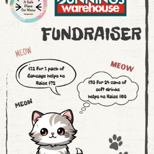 Illustrated poster promoting A Safe Place for Meow’s Bunnings Warehouse fundraiser, featuring a cute rescue cat and donation amounts that help raise funds for supplies.